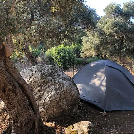 Medusa Kamp خيمة فخمة