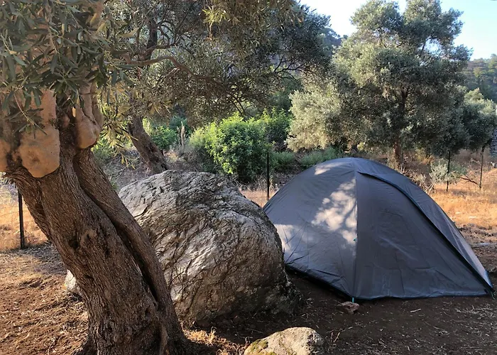 Medusa Kamp خيمة فخمة