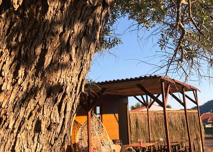 Campo de lujo Medusa Kamp